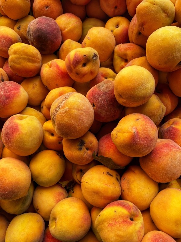 Comment apprendre les techniques de pêche sur glace avec les habitants en Laponie finlandaise ?